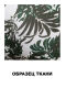 - "Tropicana Swim Bikini Briefs - Khaki" 
