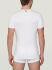 �������� "Essential - T-shirt V-Neck White" (����. ����!) 