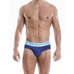 �����-����� "Weekly Briefs - Blue" 