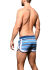 - "Savoy Stripe Swim Shorts" 