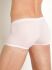 - "RED 2172 Minipants - Champagne" 
