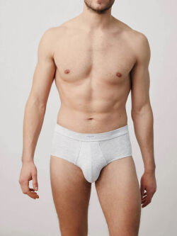 �����-����� "20156 - Slip Briefs Gris" 