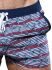 - "Anchor Swim Shorts" 
