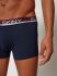 �����-������� "Cotton Stretch Trunks 3 Pack - Celebration Selection" (�������� 3 ��.) 