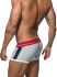�����-������� "Sport Mesh Trunk - Silver" 