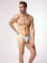 - "RED 1201 Brazilbrief Light Blue" 