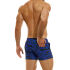 ������-����� "Tiger Short - Blue" 