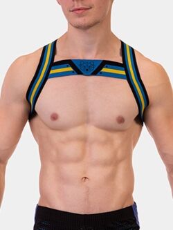 �������� "Martin Harness - Black/Royal/Yellow" 
