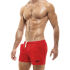 ������-����� "Recycled Camo Shorts - Metal Red" 