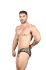 �����-����� "Massive Animal Attraction Brief" (SALE!) 