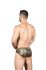 �����-����� "Massive Animal Attraction Brief" (SALE!) 