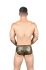 �����-����� "Massive Animal Attraction Brief" (SALE!) 