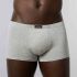 �����-������� "Infinity Hipshort - Grey Melange" 