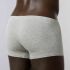 �����-������� "Infinity Hipshort - Grey Melange" 