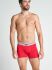 �����-������� "17301733 Boxer Trunk 3 Pack - Stone Gray Melange" (�������� 3 ��.) 
