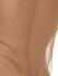 �����-����� "Mesh Through Classic Briefs - Skin" 