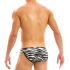 �����-����� "Animal Tanga Briefs - Zebra" 