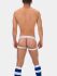 �����-����� "����� Swim Jock - White" 
