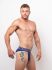 �����-����� "Classic Briefs 065 - Navy/White" 