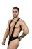 ���� ������� "Almost Naked Disco Spectrum Thong Singlet" (SALE!) 