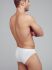 �����-����� "22452419 Briefs - White" 
