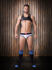 �����-����� "Backless Briefs Bond Street - White/Navy/Black" ( 