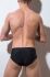 ������-����� "Denver Briefs Silver" 