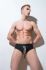 ������-����� "Denver Briefs Silver" 