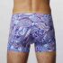 �����-������� "Short Oriental" (SALE!) 