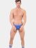 �����-����� "Tjure Briefs - Royal" 