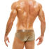 �����-����� "V. Fluid Briefs - Camel" 