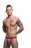 �����-����� "Campus Stripe Jock - Red" (SALE!) 
