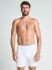 �����-������� "2296 Spurt Midway Briefs White" 