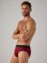 �����-����� "20366 - Briefs Pack 2" (�������� 2 ��.) 