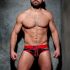 �����-����� "Camo Stripe Fetish Briefs - Red" 