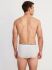 �����-����� "2246 Spurt Y-Front Briefs Steel Melange" 