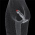 �������� ���������� "Flawless Clear Prostate Plug 6.5" 