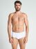 �����-����� "21000183 Classic Cotton Y-Front Briefs White" (�������� 3 ��) 