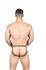 �����-����� "Massive Animal Attraction Jock" 