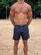 ������-����� "Basic Medium Boardshort - Navy" 